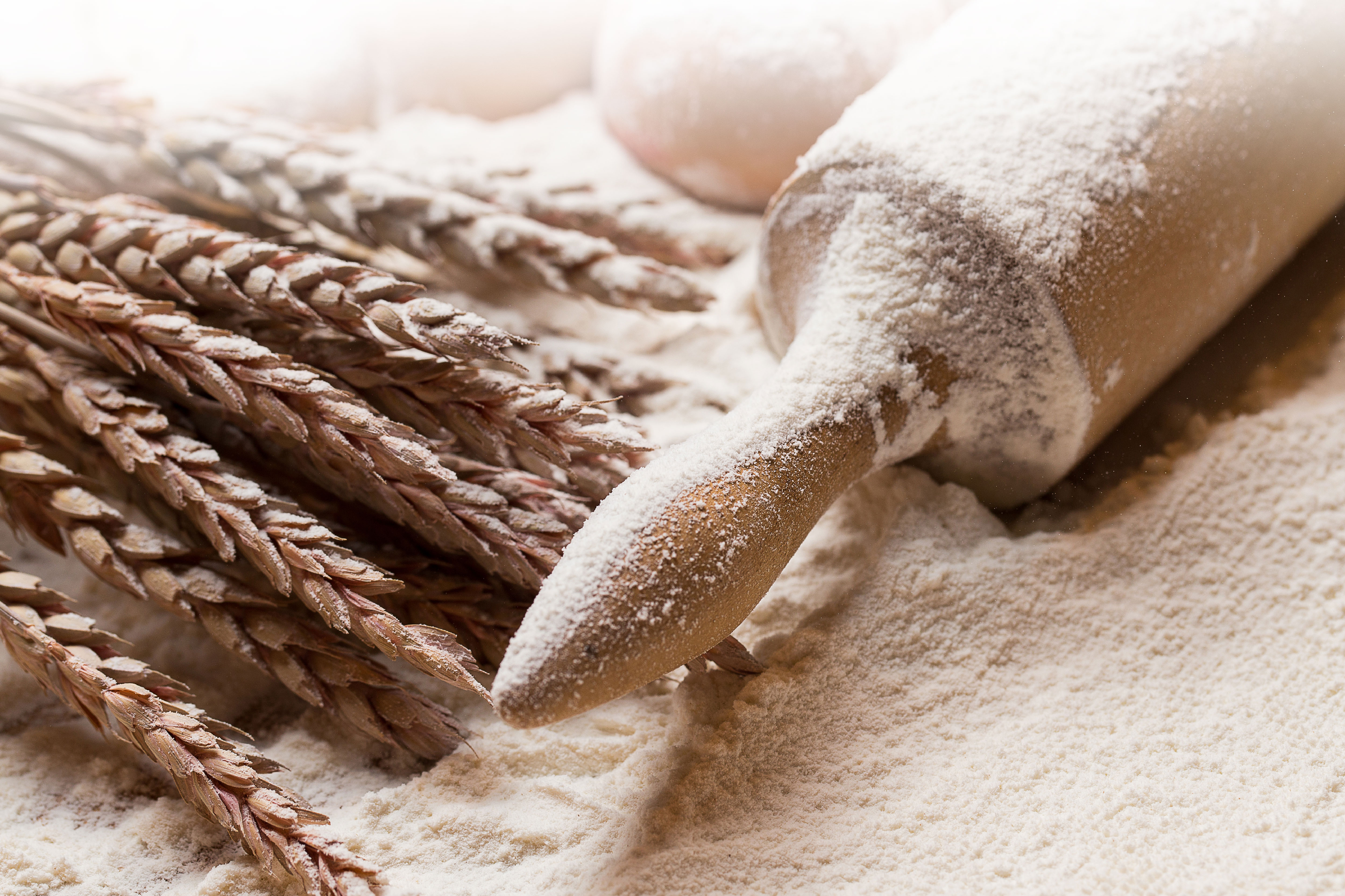 lorem ipsum dolor sit